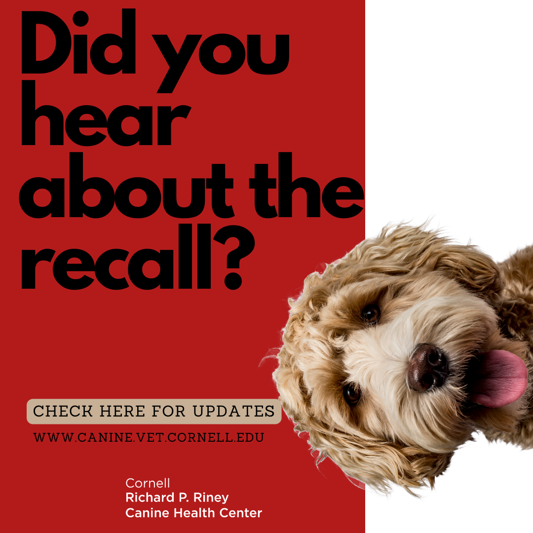 Pet food and toy recalls Cornell University College of Veterinary